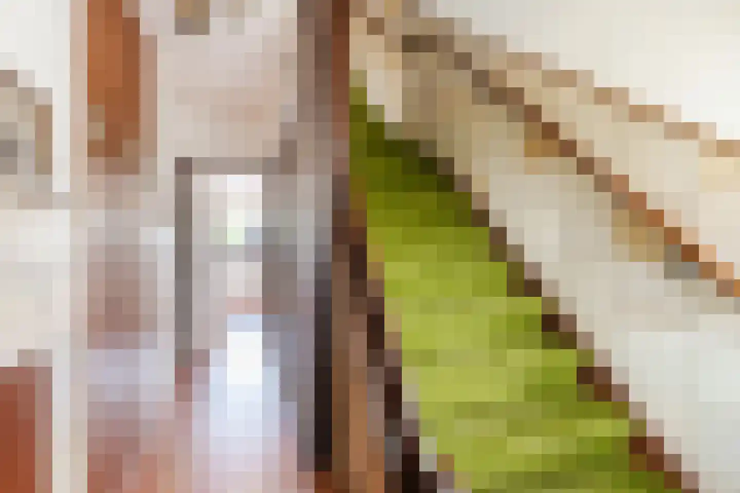 Everjachtstraat 25 Tilburg thumbnail 12