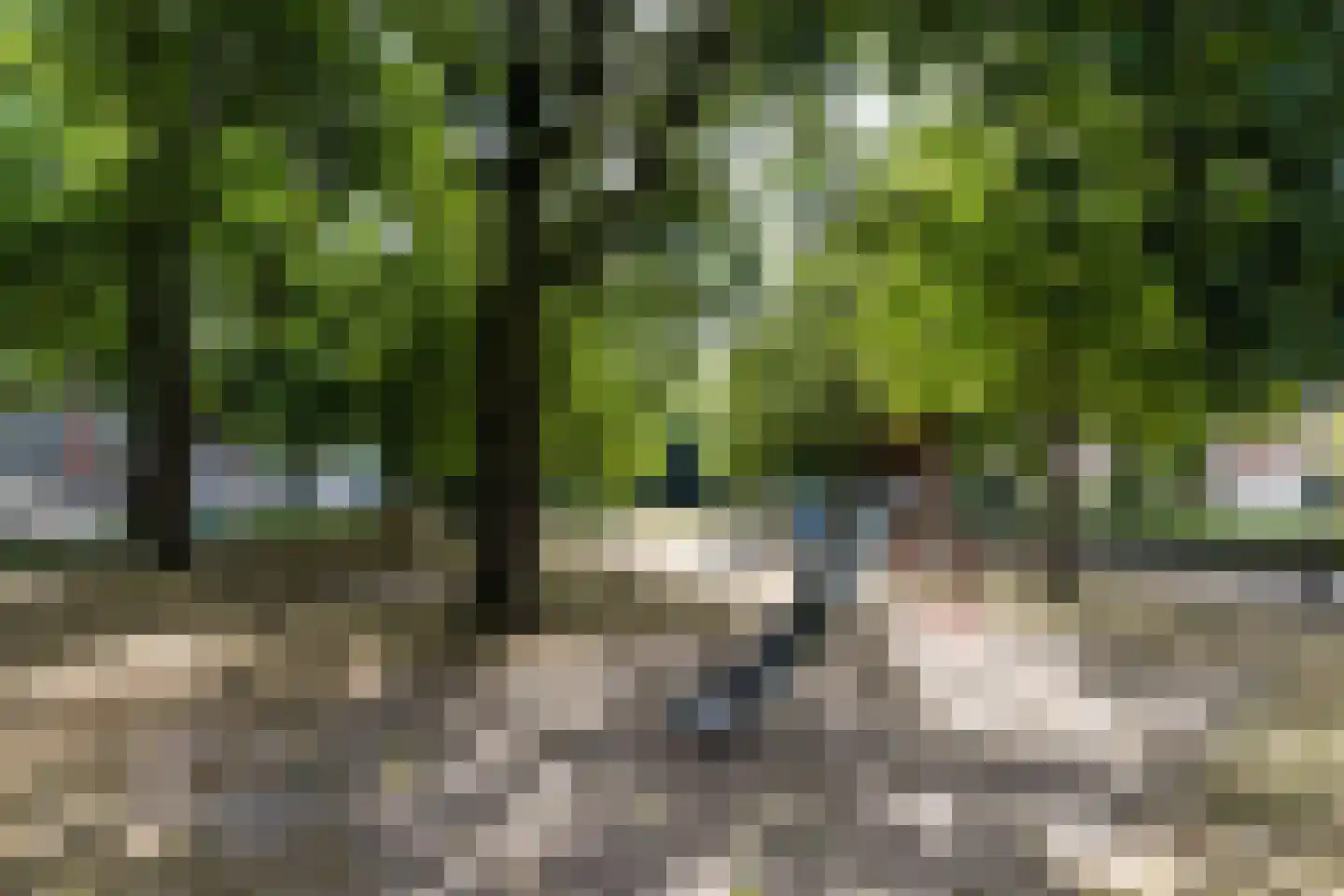 Everjachtstraat 25 Tilburg thumbnail 33