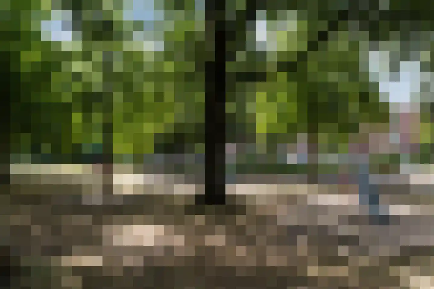 Everjachtstraat 25 Tilburg thumbnail 34