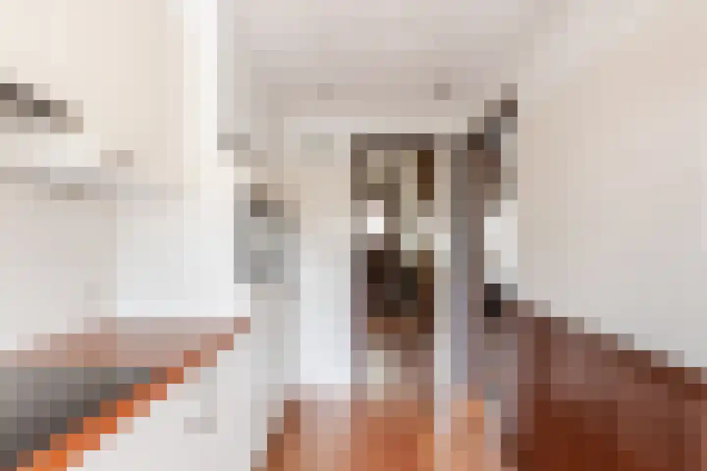 Everjachtstraat 25 Tilburg thumbnail 9