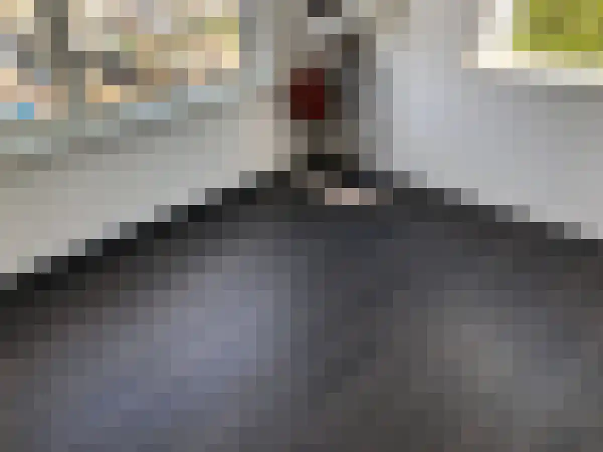 Everjachtstraat 41 Tilburg thumbnail 5