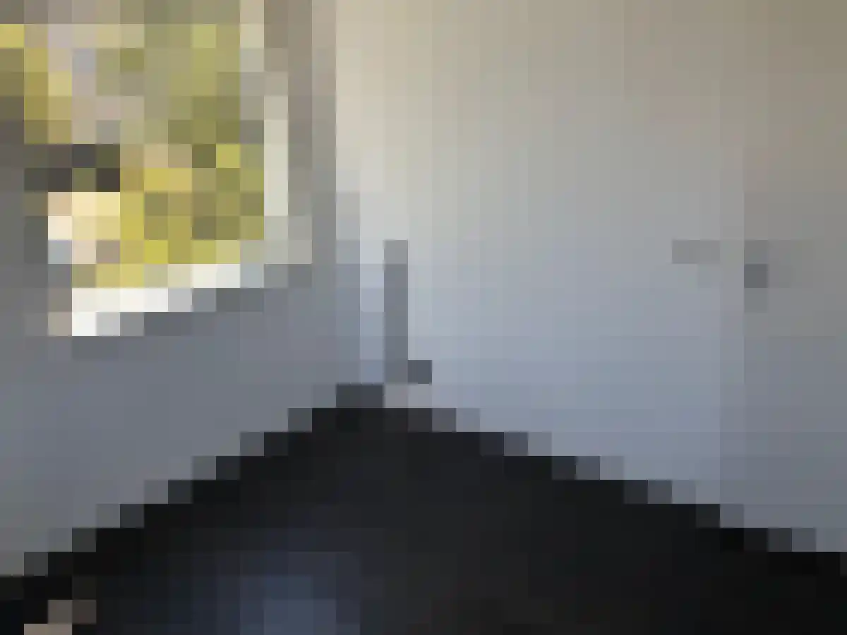 Everjachtstraat 41 Tilburg thumbnail 6