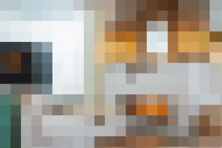 Everlaan 19 Apeldoorn thumbnail 10