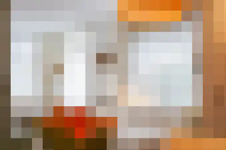 Everlaan 19 Apeldoorn thumbnail 13