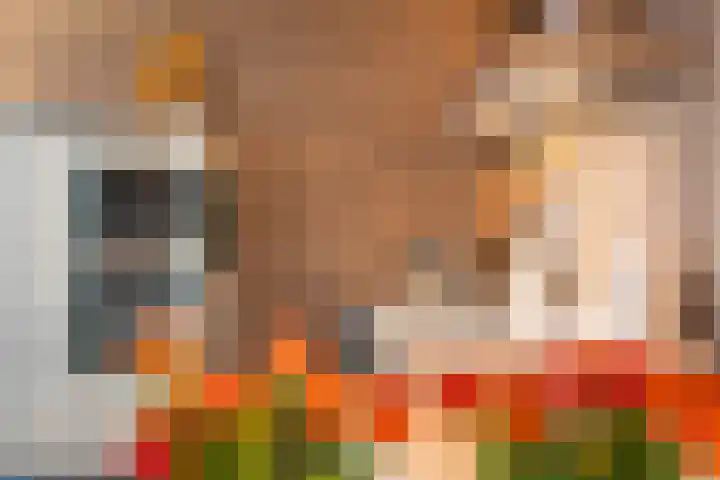 Everlaan 19 Apeldoorn thumbnail 17