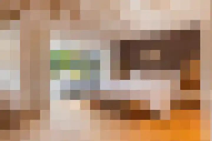 Everlaan 19 Apeldoorn thumbnail 23
