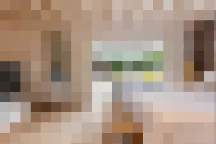 Everlaan 19 Apeldoorn thumbnail 24