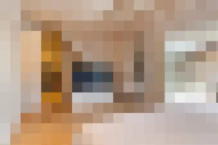 Everlaan 19 Apeldoorn thumbnail 25