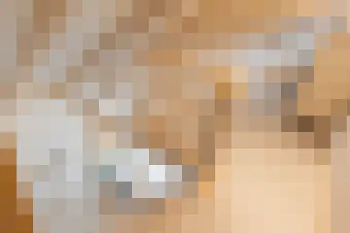 Everlaan 19 Apeldoorn thumbnail 26