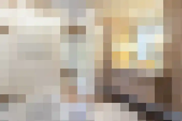 Everlaan 19 Apeldoorn thumbnail 27