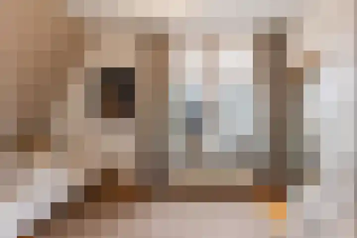 Everlaan 19 Apeldoorn thumbnail 32