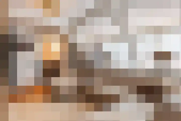 Everlaan 19 Apeldoorn thumbnail 37