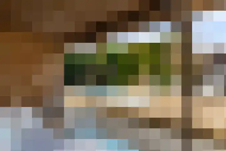 Everlaan 19 Apeldoorn thumbnail 46