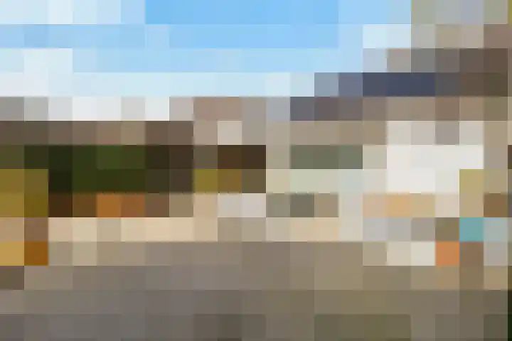 Everlaan 19 Apeldoorn thumbnail 47
