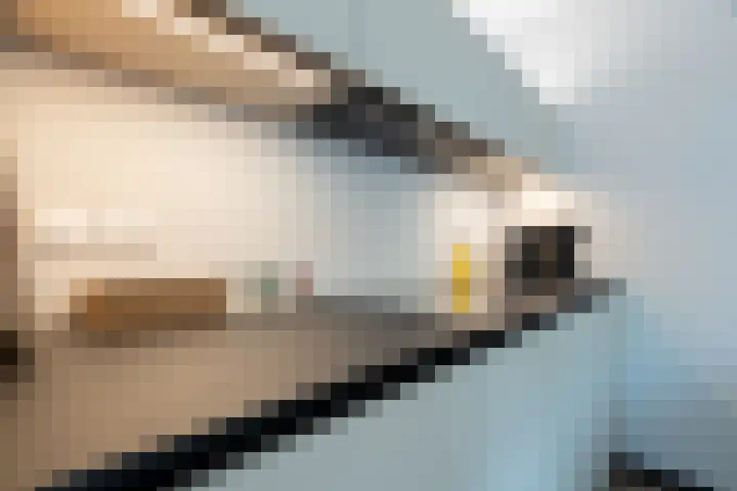 Everlaan 32 Assen thumbnail 12