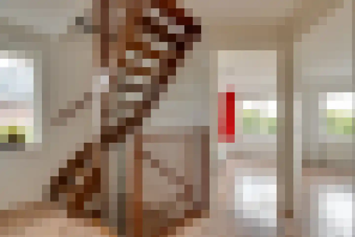 Everlaan 32 Assen thumbnail 15