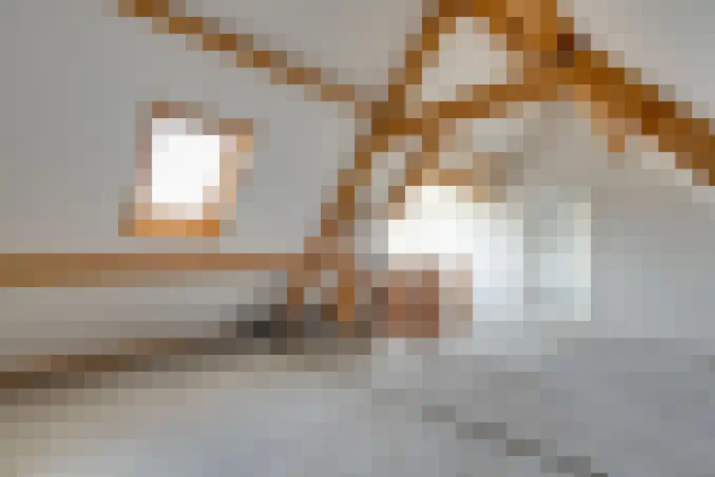 Everlaan 32 Assen thumbnail 27