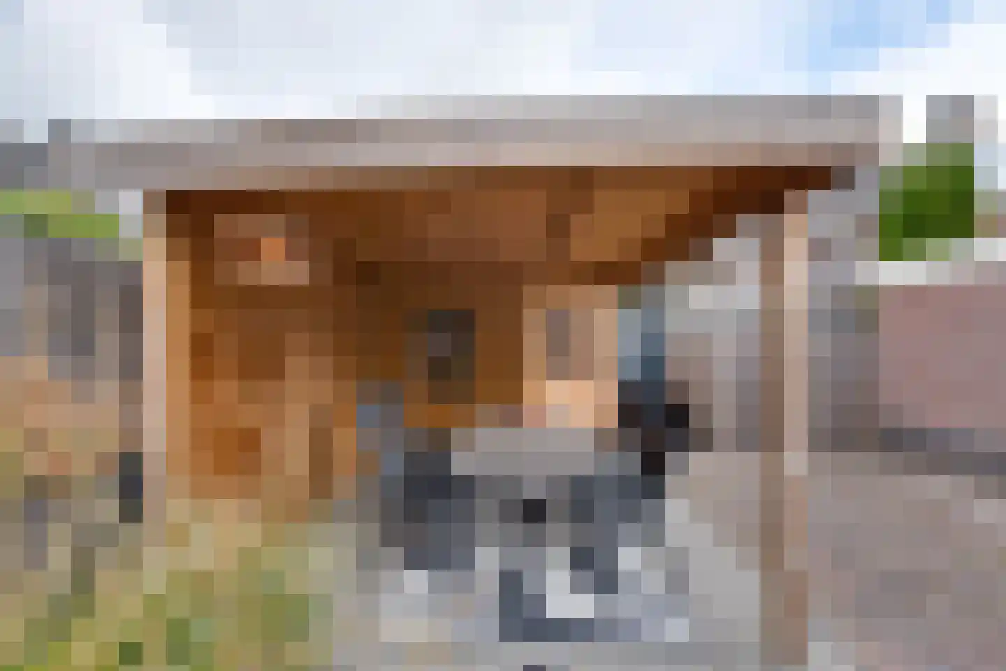 Everlaan 32 Assen thumbnail 31