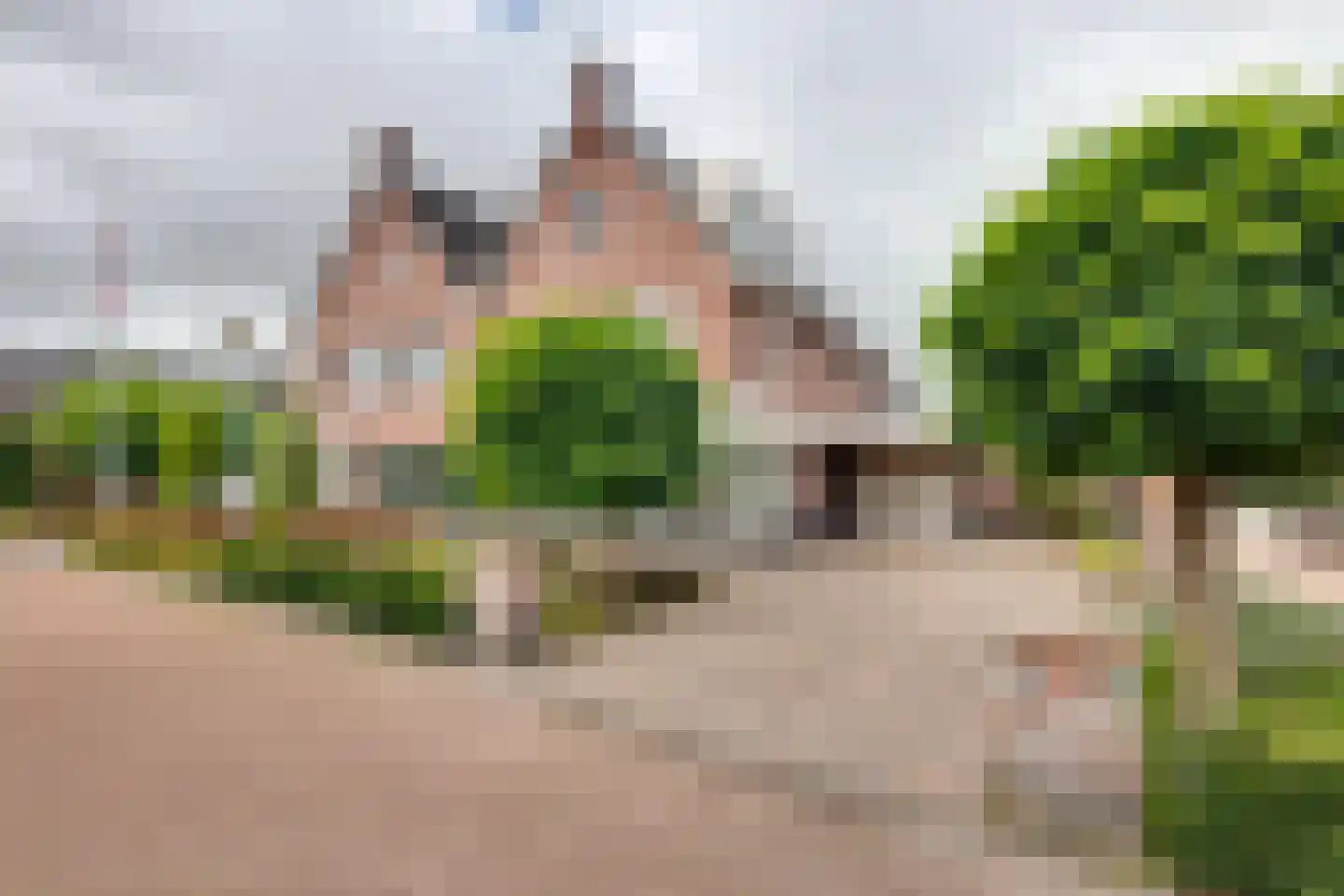 Everlaan 32 Assen thumbnail 36
