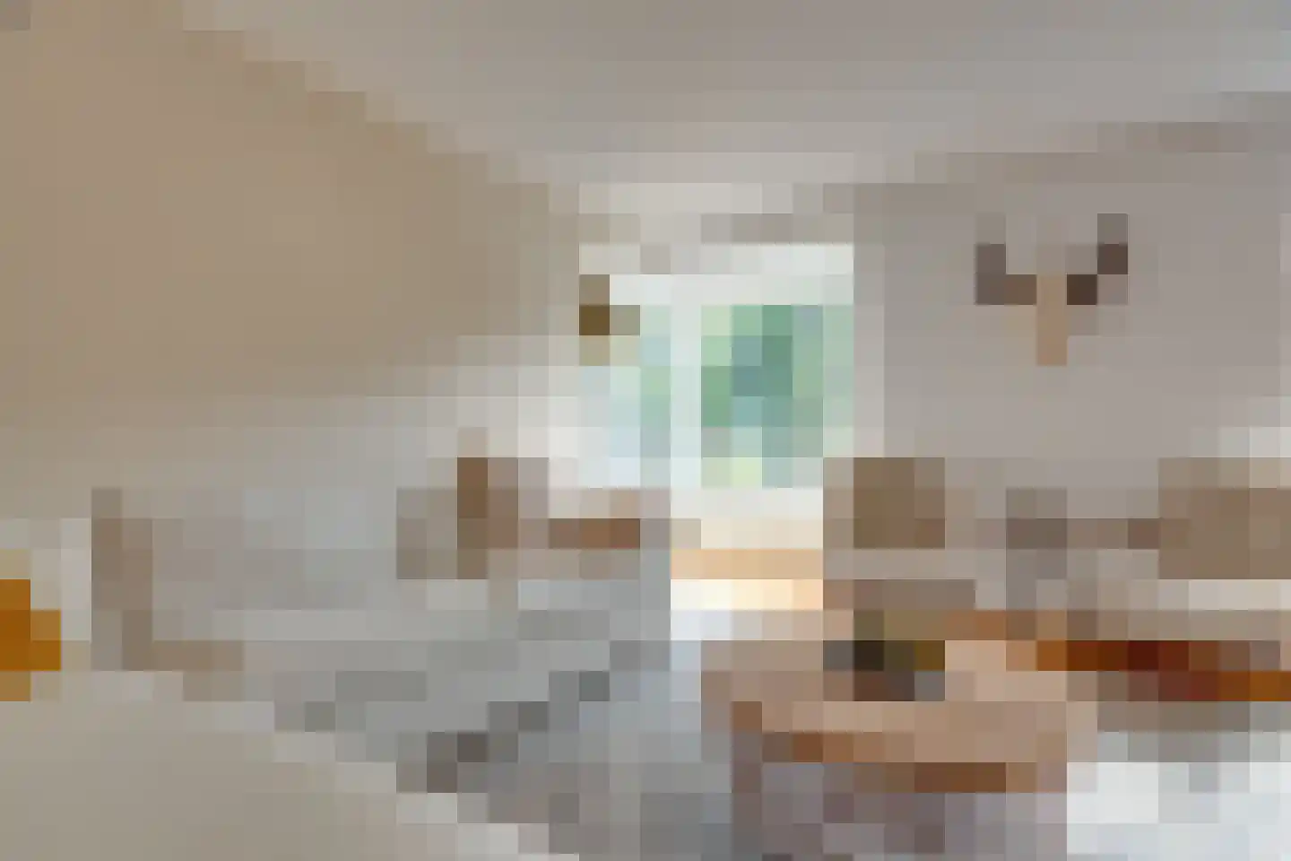 Everlaan 32 Assen thumbnail 4