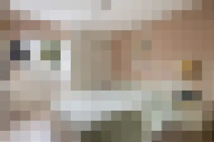 Everlaan 34 Lunteren thumbnail 15