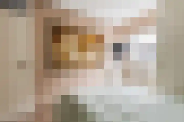 Everlaan 34 Lunteren thumbnail 17
