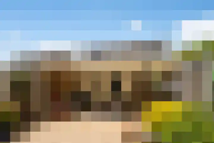 Everlaan 34 Lunteren thumbnail 27