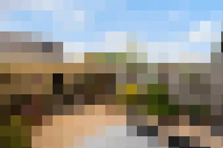 Everlaan 34 Lunteren thumbnail 28
