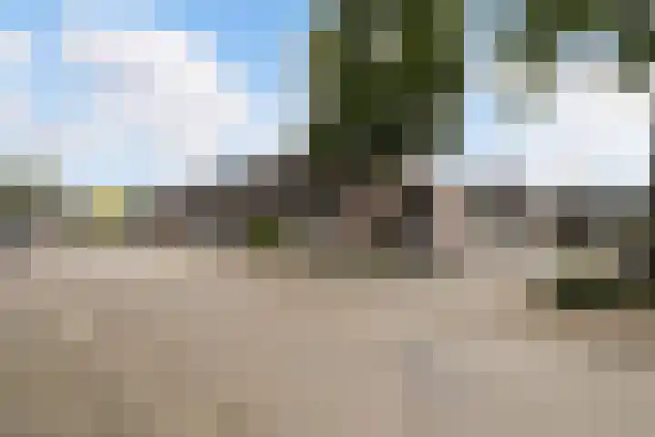 Everlaan 34 Lunteren thumbnail 36