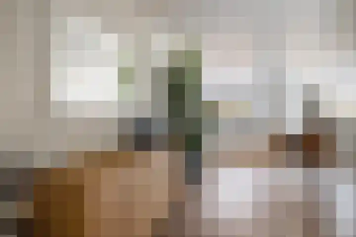 Everlaan 34 Lunteren thumbnail 8