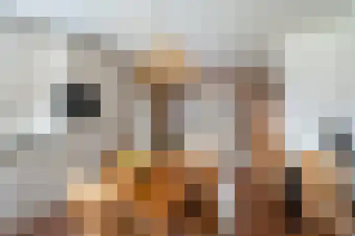 Everlaan 35 Lunteren thumbnail 11