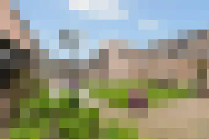 Everlaan 35 Lunteren thumbnail 34