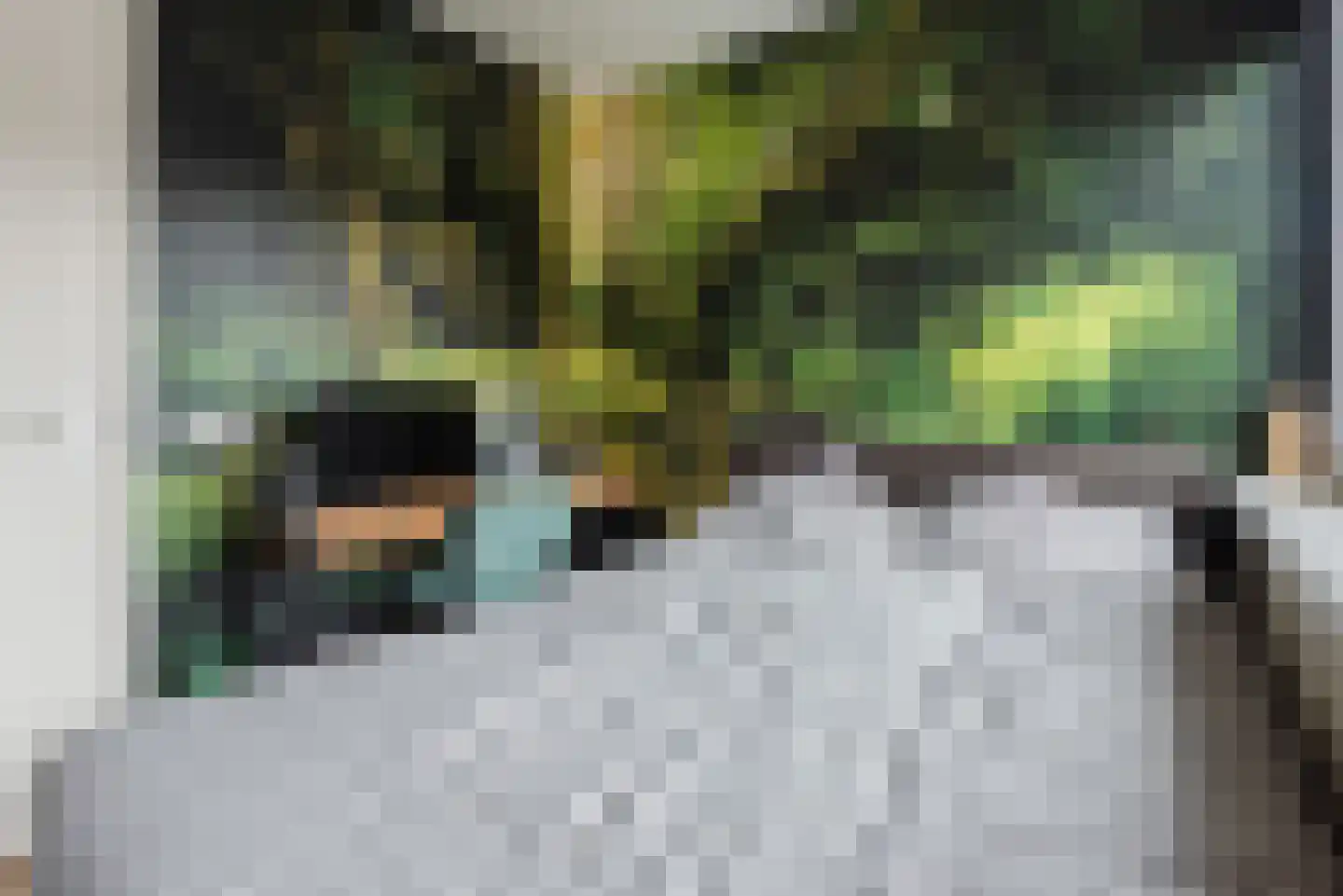Everlaan 4 Apeldoorn thumbnail 29