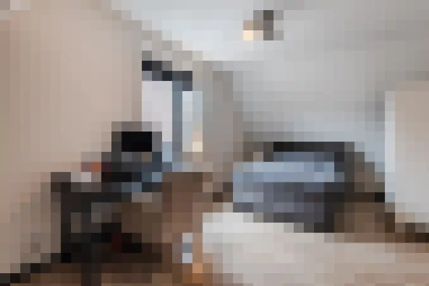 Everlaan 4 Apeldoorn thumbnail 32