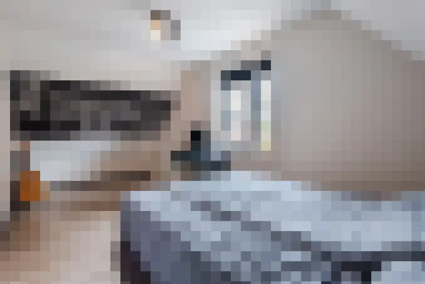 Everlaan 4 Apeldoorn thumbnail 33