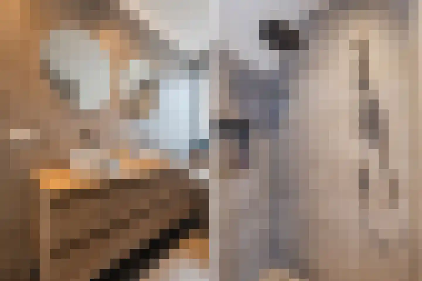 Everlaan 4 Apeldoorn thumbnail 38
