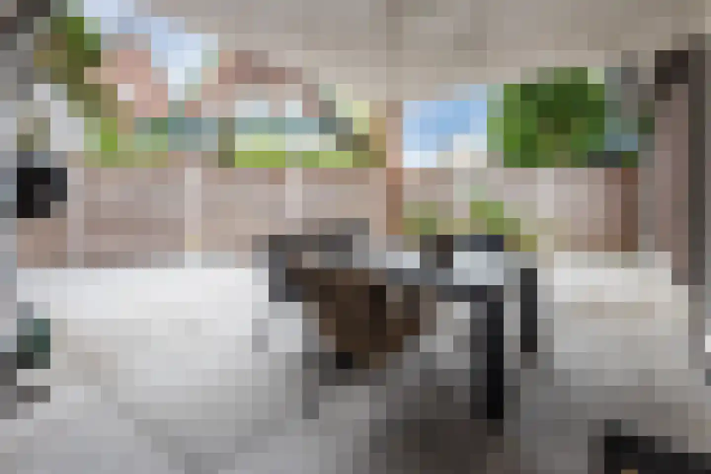 Everlaan 4 Apeldoorn thumbnail 40