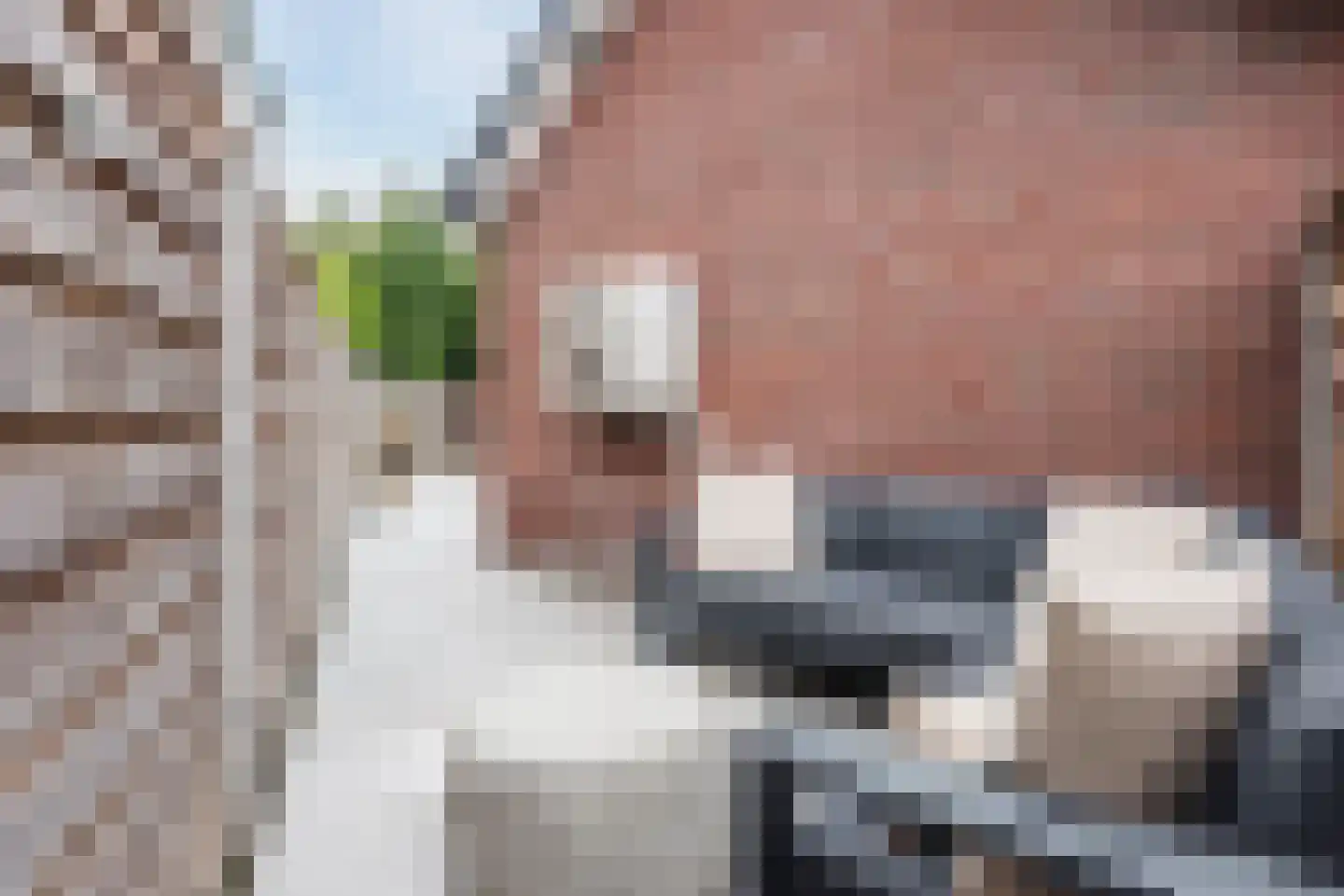 Everlaan 4 Apeldoorn thumbnail 47