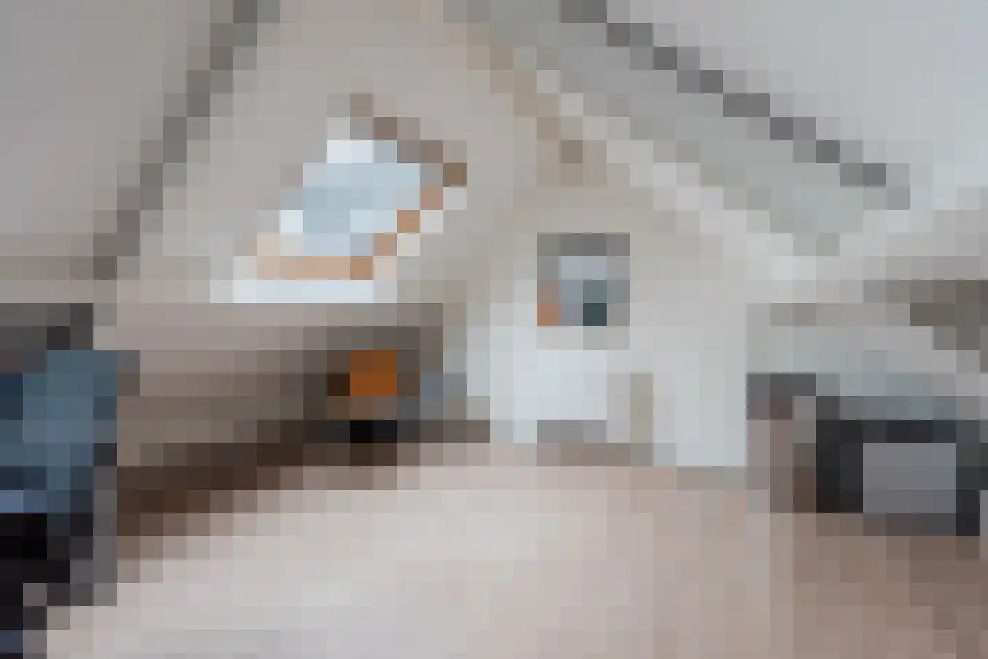 Everlaan 4 Apeldoorn thumbnail 52