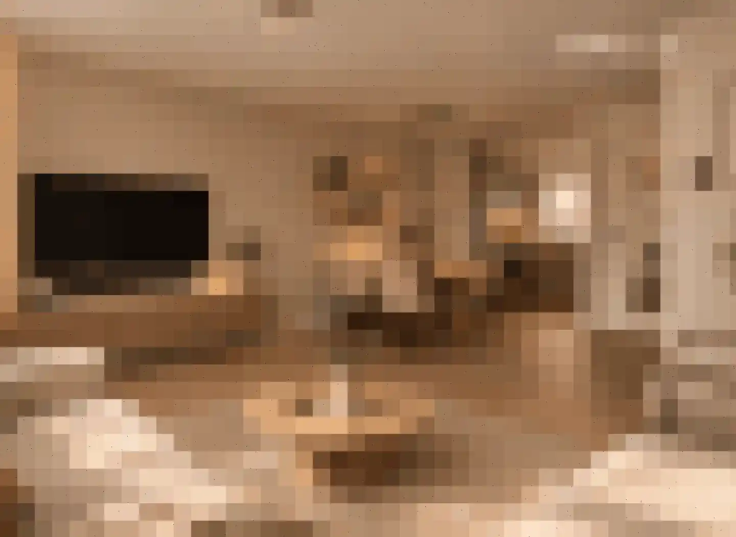 Everlaan 51 Lunteren thumbnail 5