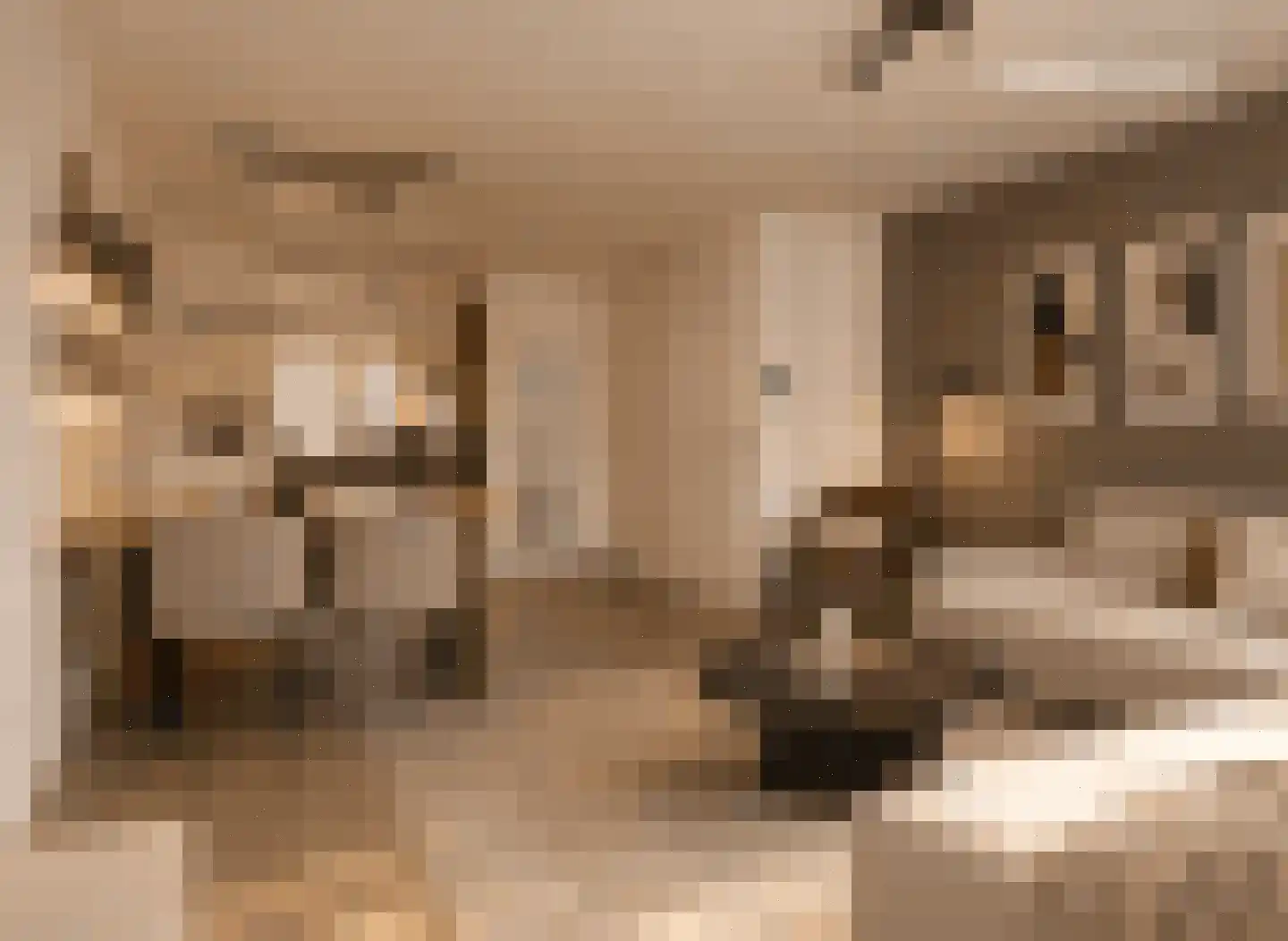 Everlaan 51 Lunteren thumbnail 6