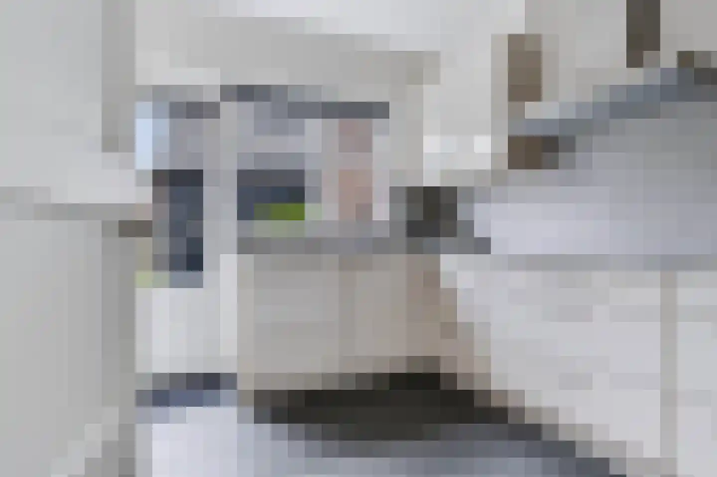 Everlaan 8 Apeldoorn thumbnail 11