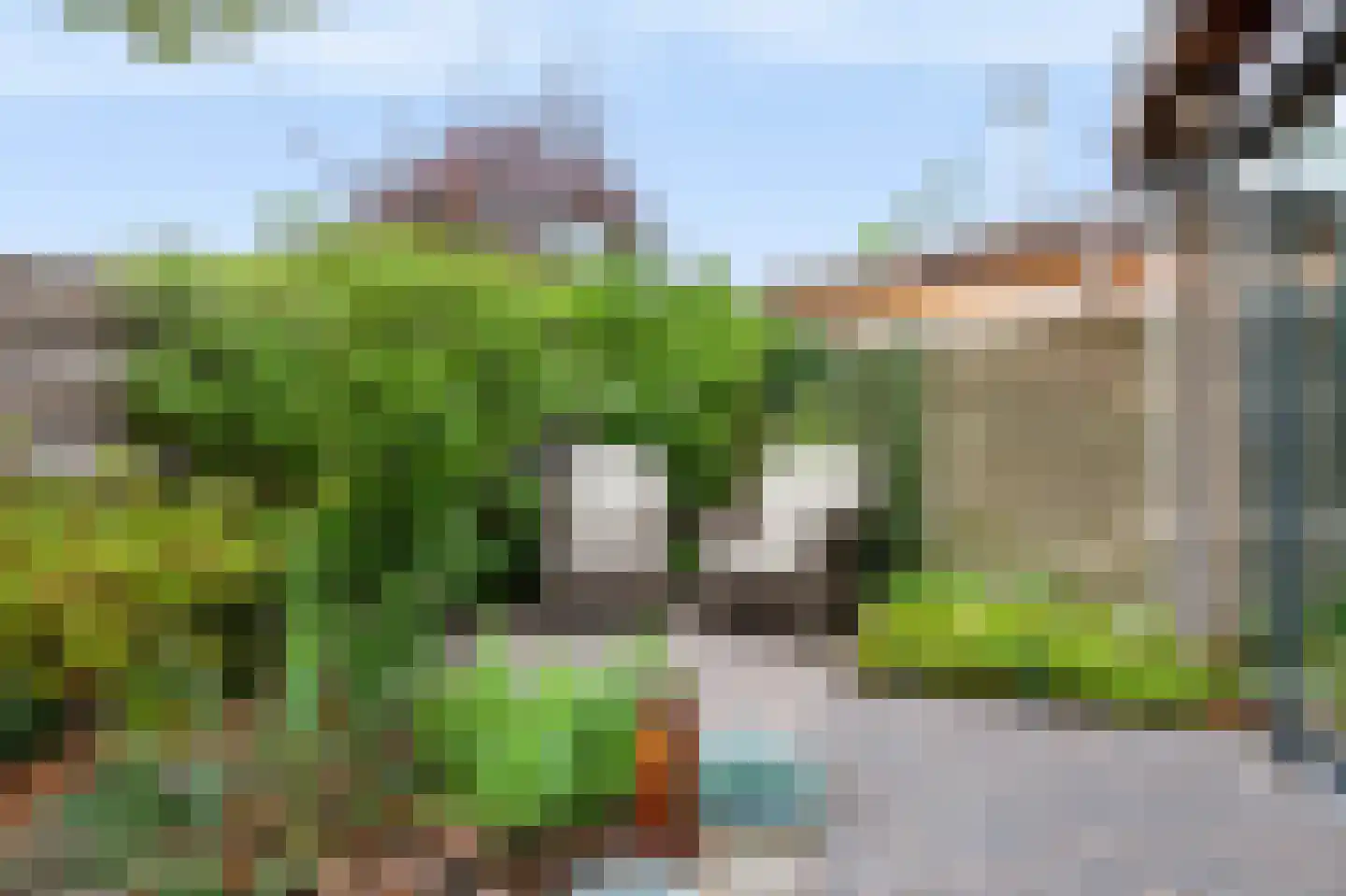 Everlaan 8 Apeldoorn thumbnail 31