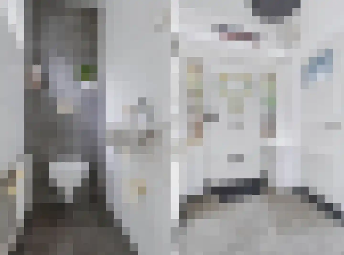 Everlaan 8 Apeldoorn thumbnail 5
