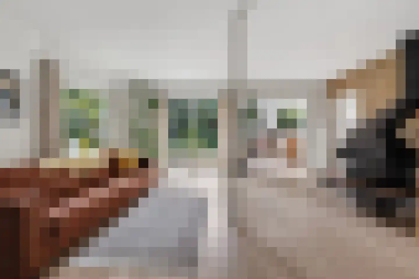 Everlaan 8 Wageningen thumbnail 11