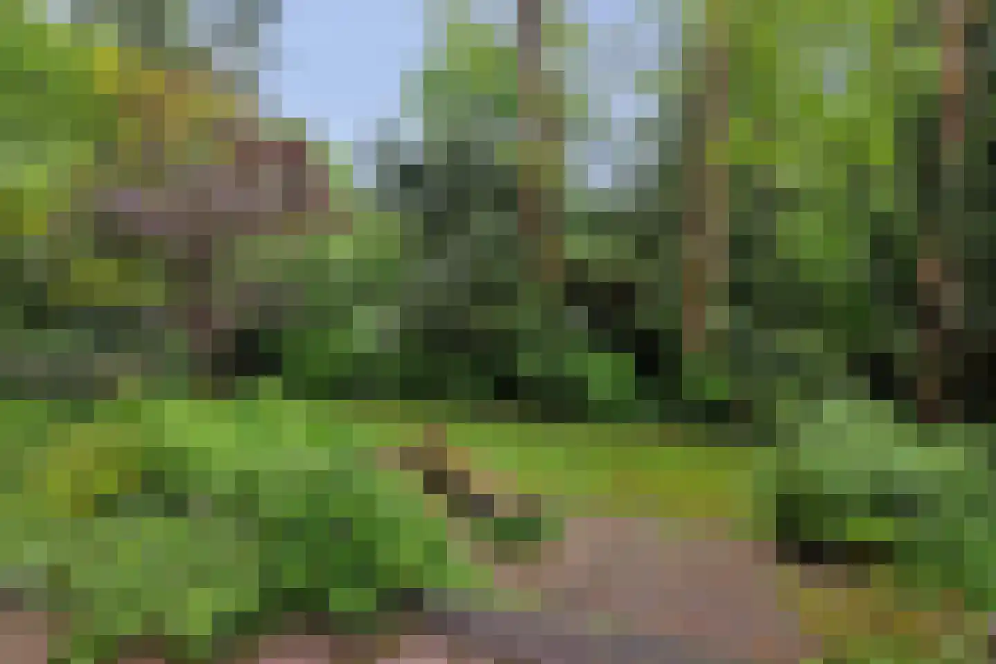 Everlaan 8 Wageningen thumbnail 37