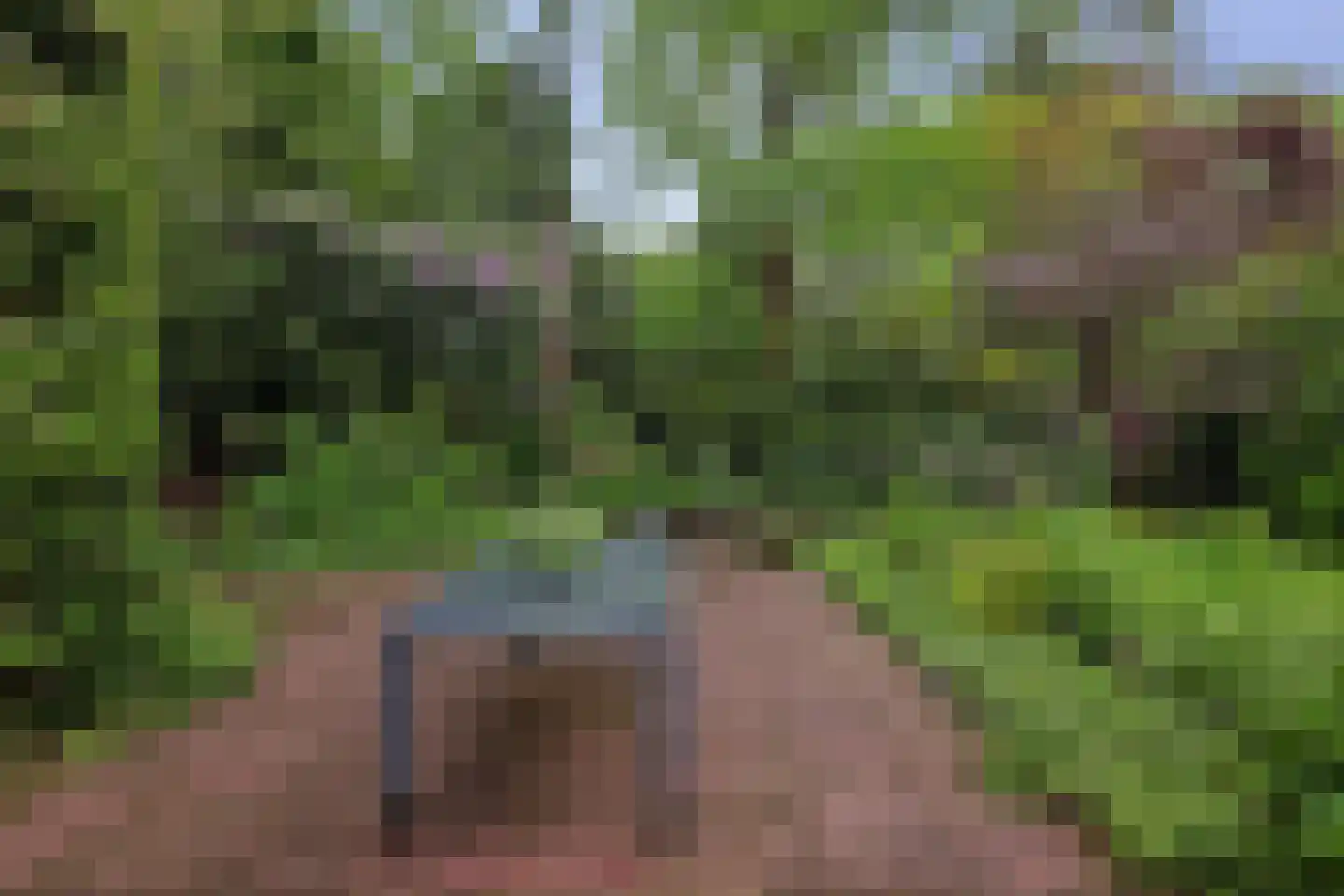 Everlaan 8 Wageningen thumbnail 38