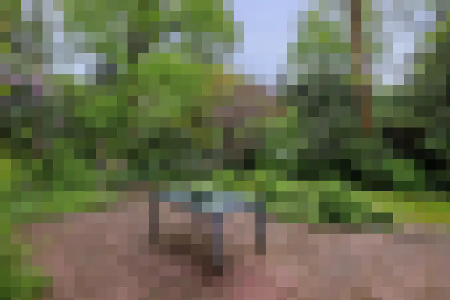 Everlaan 8 Wageningen thumbnail 39