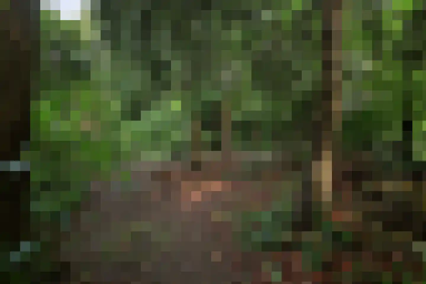 Everlaan 8 Wageningen thumbnail 47