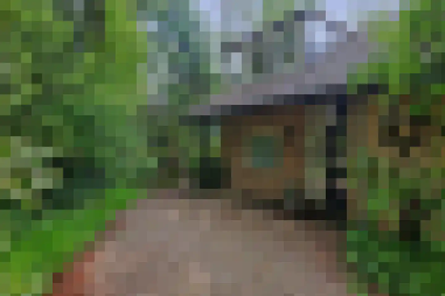 Everlaan 8 Wageningen thumbnail 5